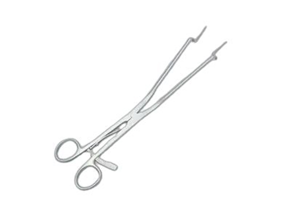 Steel Surgical Equipments Endocervical Speculum In Sitamarhi